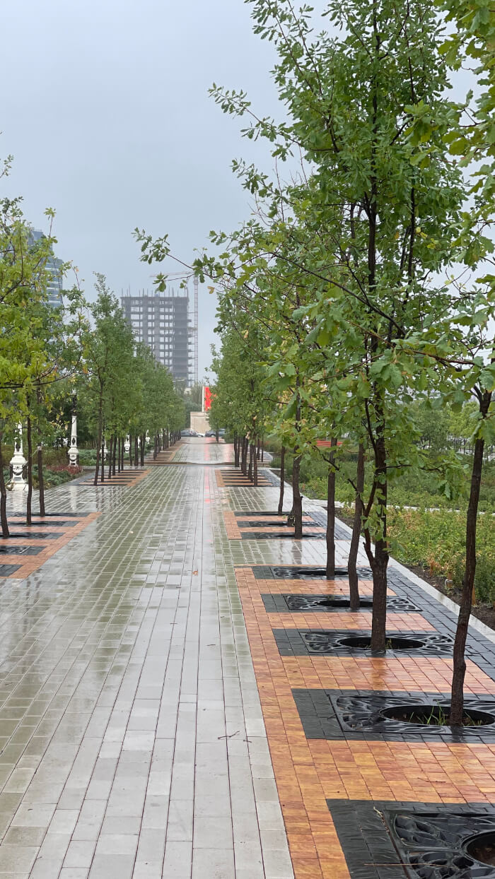 Приствольная решетка для дерева ZKING CRUST 1.2х1.2м Черная в Твери фото