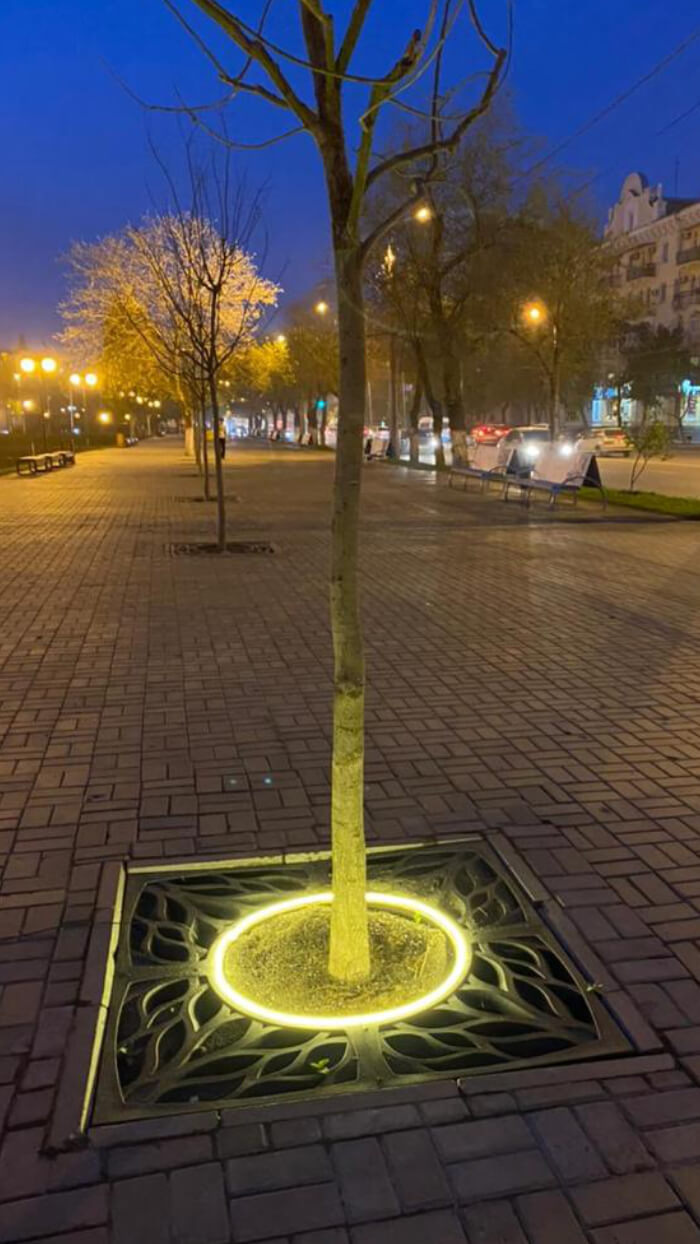 Приствольная решетка для дерева ZKING CRUST 1.2х1.2м Черная в Твери фото